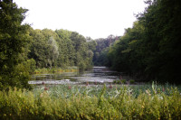 Parc de l'Abbaye de Liessies